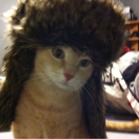 manibearr